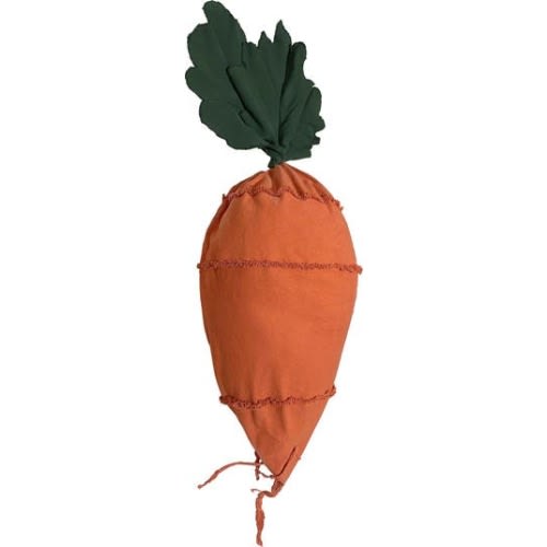 Cathy the Carrot Bean Bag