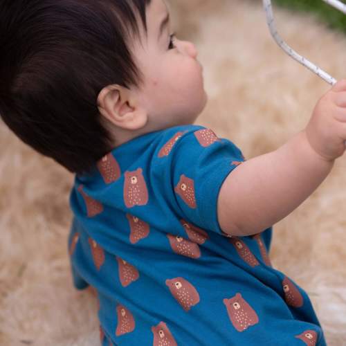 Teddy Bears Organic Romper, 3-6 months