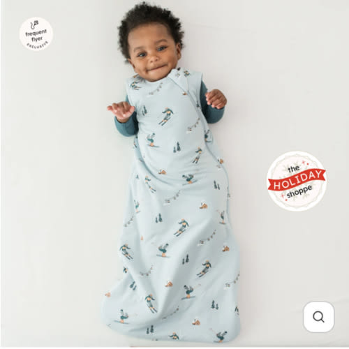 Sleep Bag in Ski 1.0