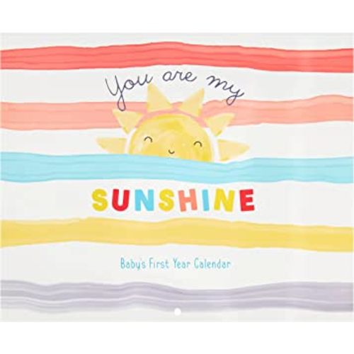 C.R. Gibson BA3-24545 You are My Sunshine Gender Neutral Baby's First Year Keepsake Calendar, 11" W x 18" H Open, Multicolor