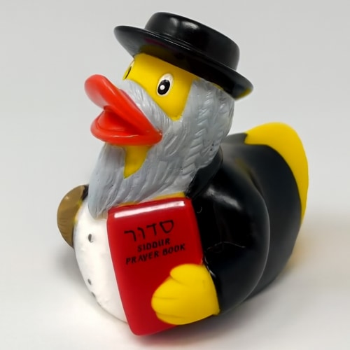 Rabbi Duck