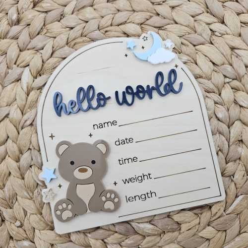 Teddy Bear Baby Announcement Sign | Hello World Newborn Statistics Sign
