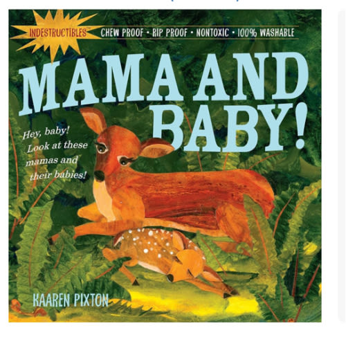 Mama and Baby! (Indestructibles)