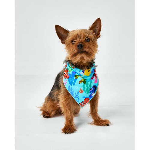 Pixar Nemo's Reef Pet Bandana – Little Sleepies