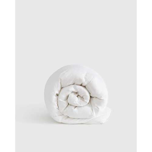 Premium Down Comforter | Quince in Down