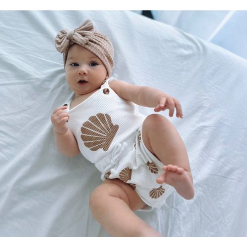 Seashell Set