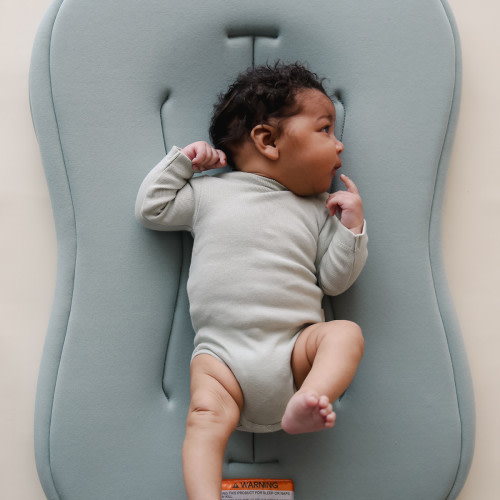 Infant Lounger Curve - Slate