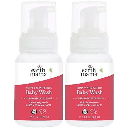 Earth Mama Simply Non-Scents Foaming Hand Soap | Fragrance-free with Organic Calendula + Rooibos for Sensitive Skin, 5.3-Fluid Ounce (2-Pack)