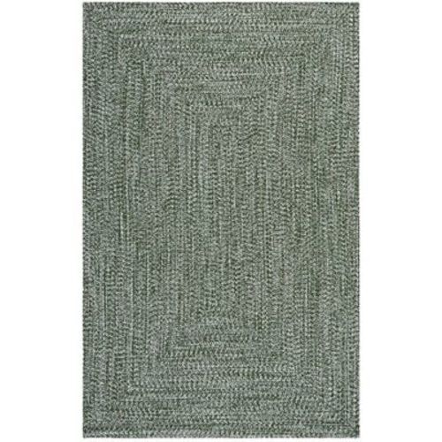 Braided BRA260 Machine Washable UV Resistant Stain Resistant Non-Shedding Hand Woven Indoor/Outdoor Rugs - Safavieh