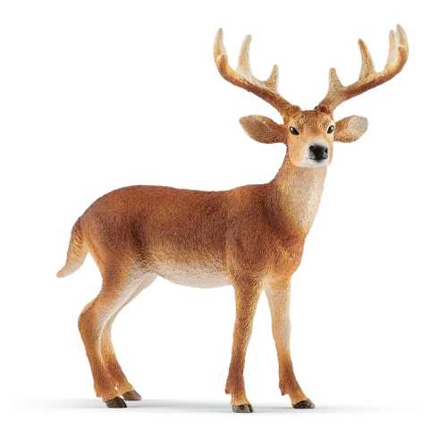 White-tailed buck 14818 | Schleich USA Inc.