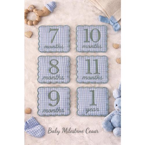 Embroidered Baby Milestone Patches | Blue Gingham Photo Props