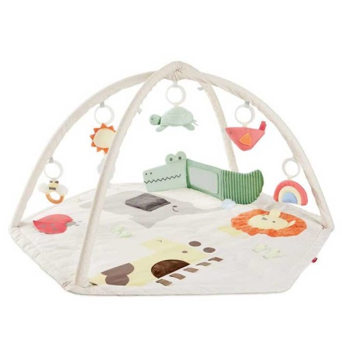 Geometric Wonders&nbsp;Activity Gym