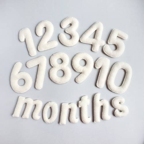 Felt Baby Milestone Numbers, Newborn Photo Prop