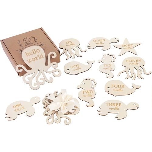 Sursurprise Under The Sea Milestone Cards, Baby Monthly Milestone Markers Wooden, 13PCS Ocaen Animals Double Sided Hello World Newborn 1-12 Months Circles Discs Signs Props