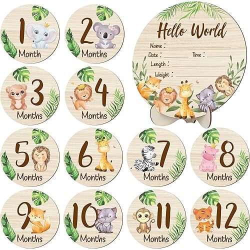 Wooden Baby Monthly Milestone Cards Double Sided Baby Birth Announcement Sign, Hello World Milestone Sign Discs Pregnancy and Baby Shower Gifts for Newborn Photo Props