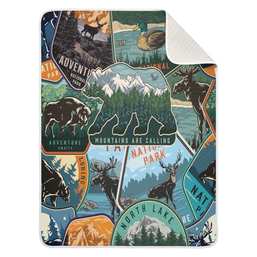 Baby Swaddle Blanket for Boys Girls Soft Warm Stroller Throw Blanket for Newborn Infant Toddler 30X40in National Park Colorful Vintage Pattern