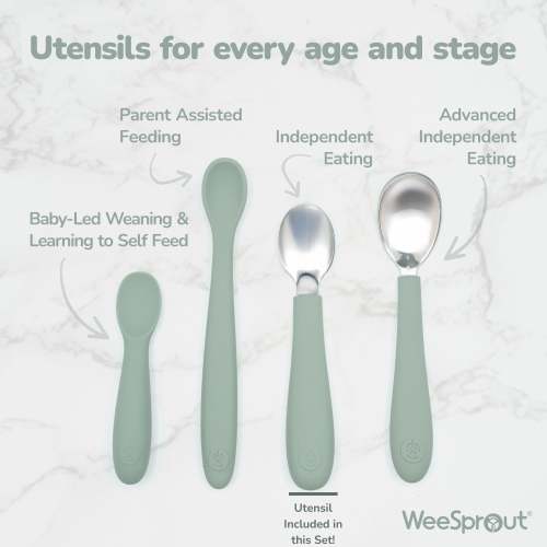 WeeSprout | Stainless Steel & Silicone Toddler Utensils with Silicone Lid | Set of 6 | 3 Forks + 3 Spoons