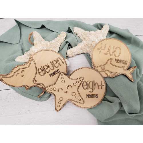 Nautical Baby Milestone Markers, Wooden Monthly Milestone Disc, Ocean Theme Photo Prop, Baby Shower Gift Set for Expecting Mom