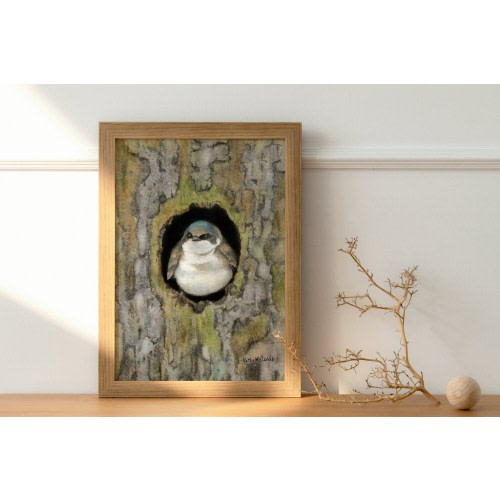 Tree Swallow in Tree Hole - PRINT of my Original Watercolor Bird Painting Art, nature art, illustration, wall art, home decor, woodland