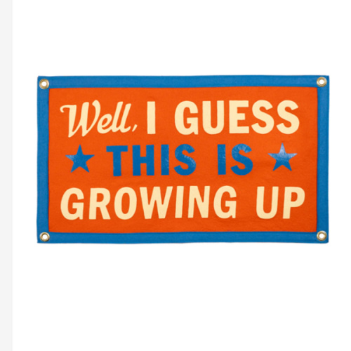 Well, I Guess This Is Growing Up Camp Flag | Blink-182 x Oxford Pennant