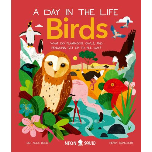 A Day in the Life | Series | Macmillan