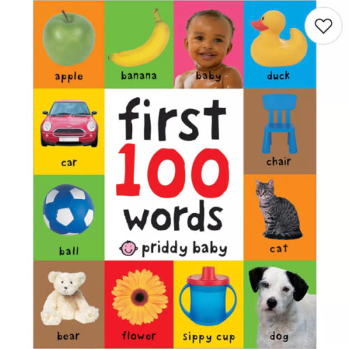 First 100 Words Book