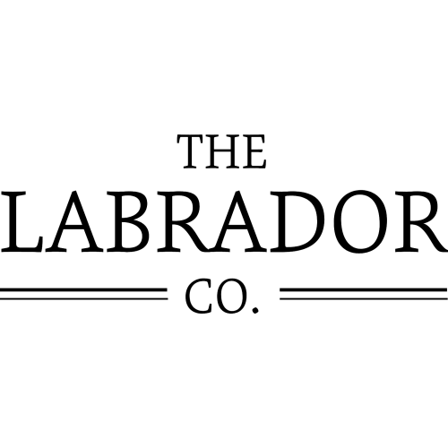 Labrador Clock With Wagging Tail - Black