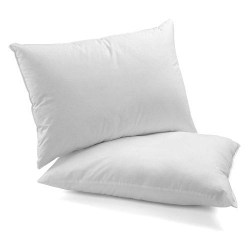 Alwyn Home Lutton Down Alternative Support Pillow & Reviews | Wayfair