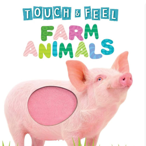 Touch and Feel Farm Animals - Novelty Book - Children's Board Book - Interactive Fun Child's Book
