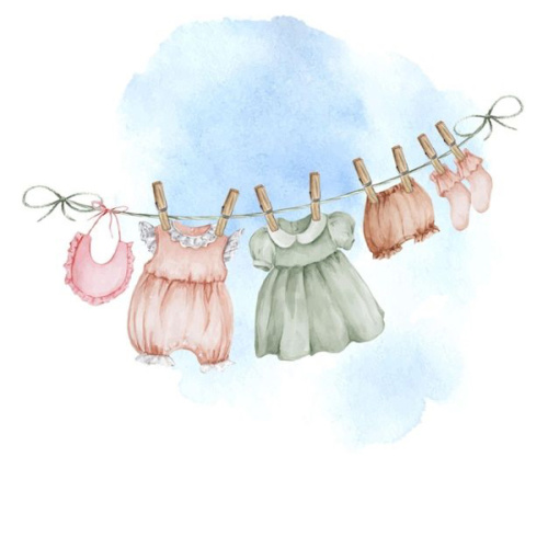 Baby Girl Clothes (new or used!)