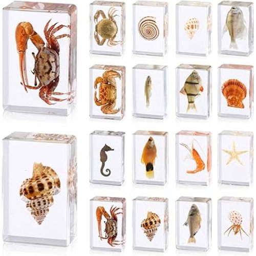 16 Pcs Ocean Animal Insect in Resin Specimen Bugs Collection Paperweights,16 Styles Real Bug Specimen Bug Kit Preserved in Resin for Scientific Educational Display Supplies (Ocean)