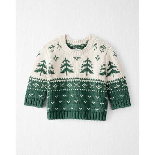 Baby Organic Cotton Fair Isle Sweater Knit Pullover - Little Planet | Carter's
