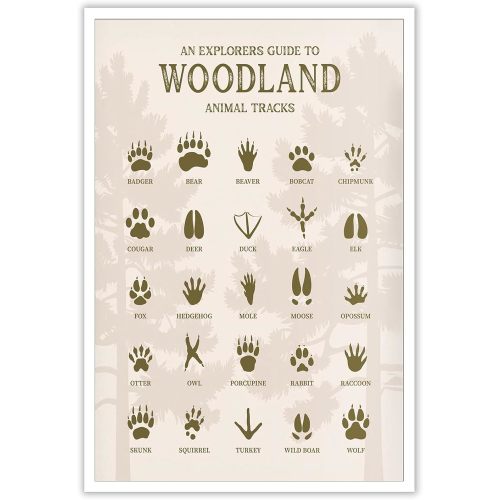 Bizabud Retro Wildlife Knowledge Poster Field Guide Sign Canvas Wall Art An Explorers Guide To Woodland Animal Tracks Prints Painting For Living Room Bedroom Nursery Wall Decor 8x12in Unframed