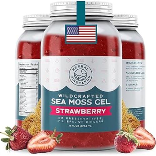 Herbal Vineyards Wildcrafted Irish Strawberry Sea Moss Gel 16 Oz - Organic Seamoss Gel Made with Dried Seaweed & Fresh Sea Vegetables, Natural & Plant-Based, Harvested in Pristine Waters, USA