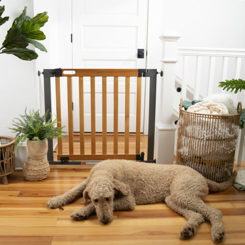 Ingenuity The Thruway 60XW Series Extra Wide Safety Pet and Baby Gate, 36"-60" Wide - Honey Oak & Reviews | Wayfair