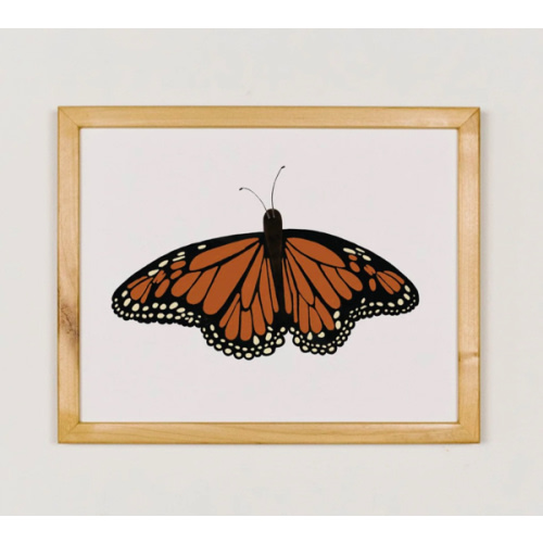 Monarch Butterfly Art