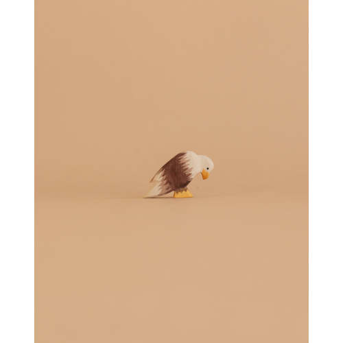 Ostheimer Bird - Bald Eagle, Sitting