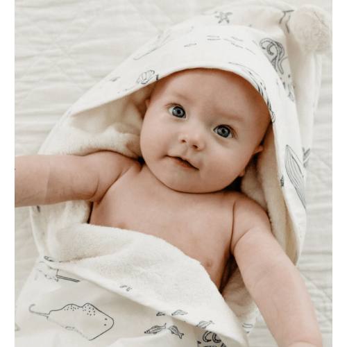 Pehr Hooded Towel- Life Aquatic