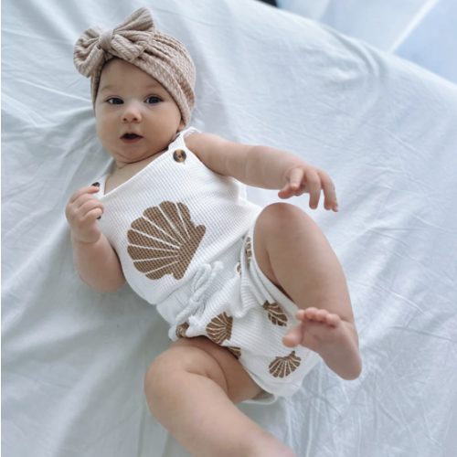 Seashell Set