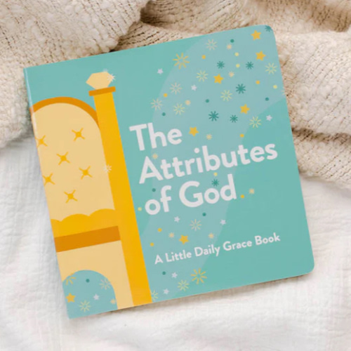 Attributes of God Kids Board Book – The Daily Grace Co.