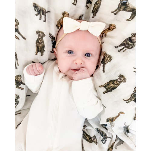 Chocolate Labs - Swaddle