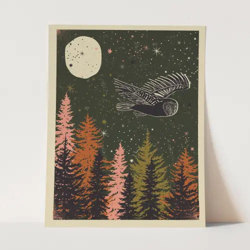 Nightwatch Owl Color Art Pring — Ash Cascade Design