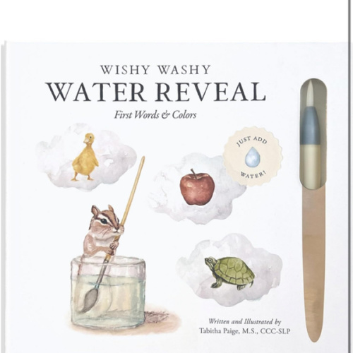 Wishy Washy (Water Reveal Edition): A Reusable Water Reveal Activity Book Teaching First Words and Colors (Tabitha Paige Children's Book Series)