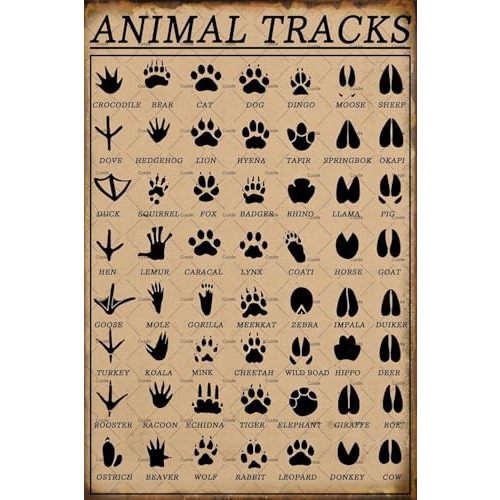 Cusde Animal Tracks Sign Vintage Nursery Metal Tin Sign Funny Hunting Decor Cabin Decor Gifts For Animal Lovers 8x12 Inch