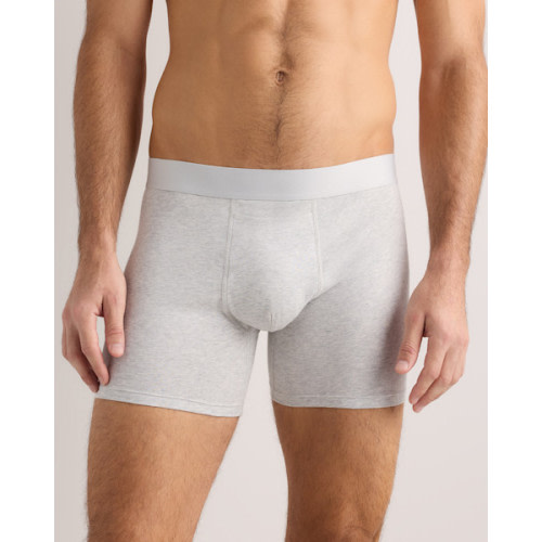 Organic Cotton 4'' Trunk (3-pack) in Light Grey