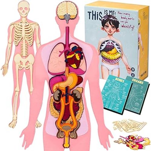 This is ME! Anatomy for Kids Human Anatomy Model Body Parts for Kids Detachable Human Body Toy Body Parts Puzzle partes del Cuerpo humano Montessori esqueleto humano anatomia Anatomy Models