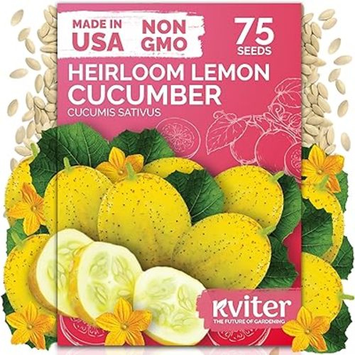 KVITER 75 Lemon Cucumber Seeds (Cucumis Sativus) - Yellow Garden Lemon Seed Packets, Mild Flavor, Heirloom Seed - Vegetable Seeds for Outdoor Home Garden, Raised Beds, Ideal for Pickling & Salads
