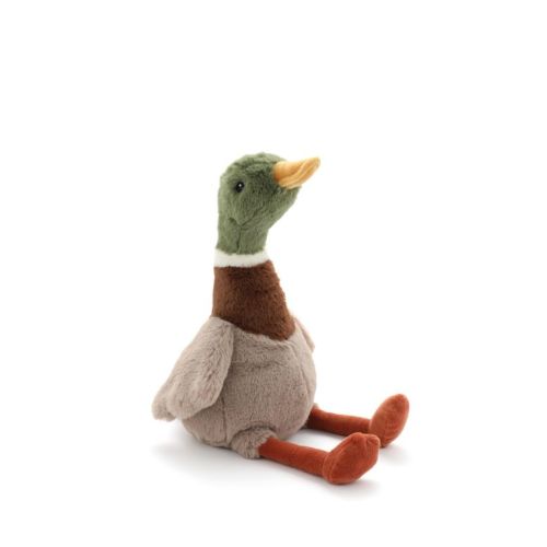 Hugo the Mallard Duck
