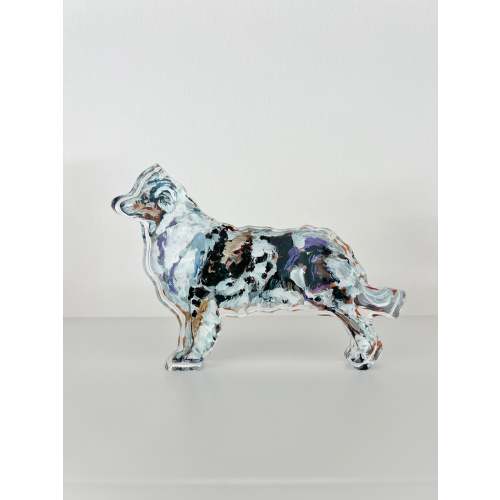 "Australian Shepherd Blue Merle" acrylic