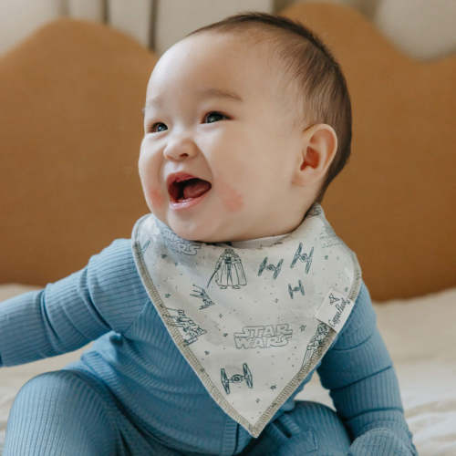 Copper Pearl 4 Pack Baby Bandana Bibs